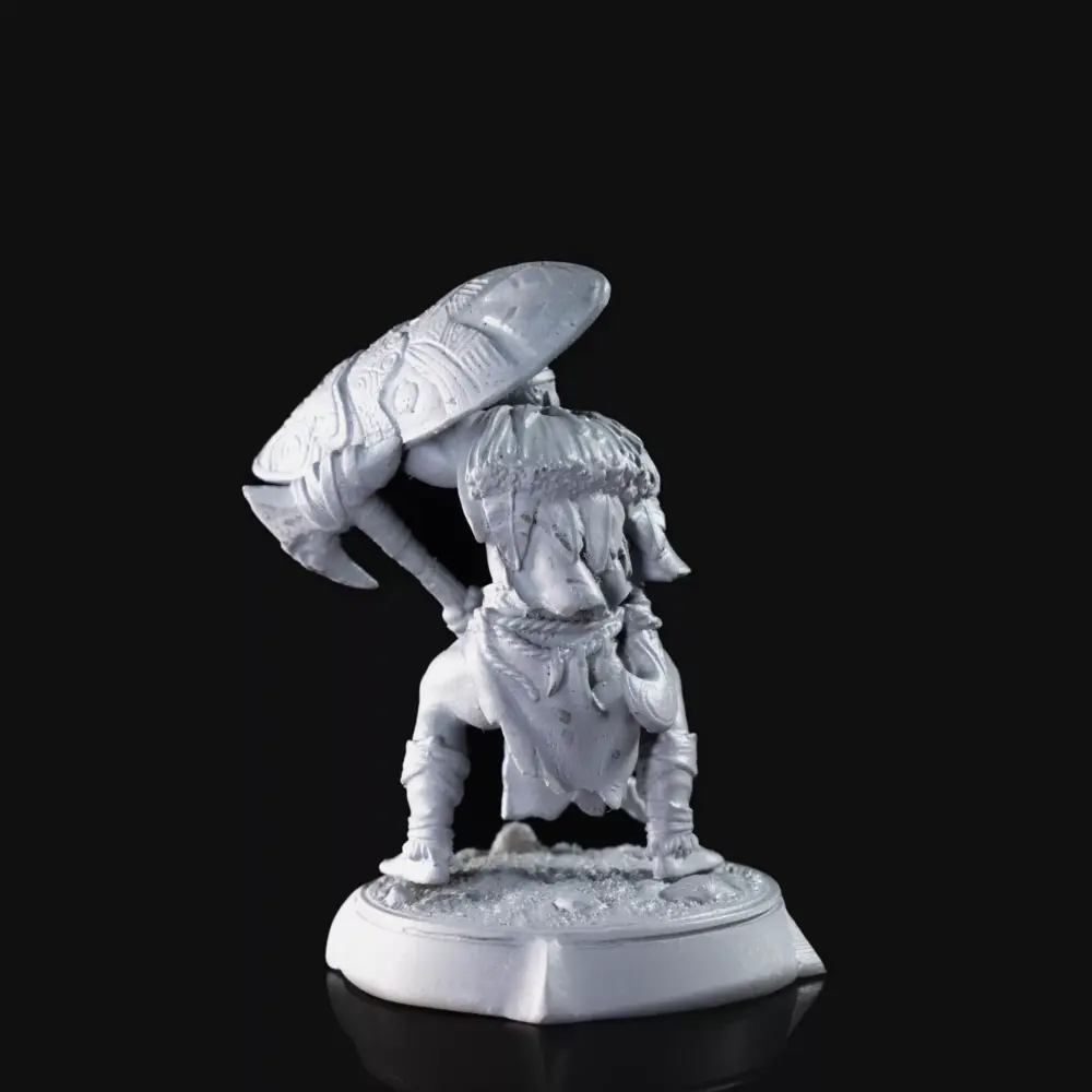 Koa, The Champion - NPC