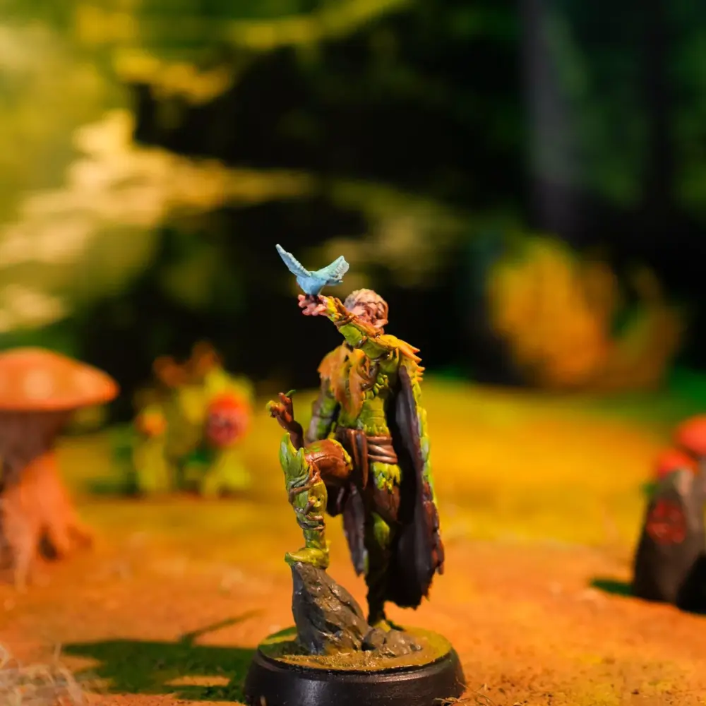 Aelarion Leafheart - Hero